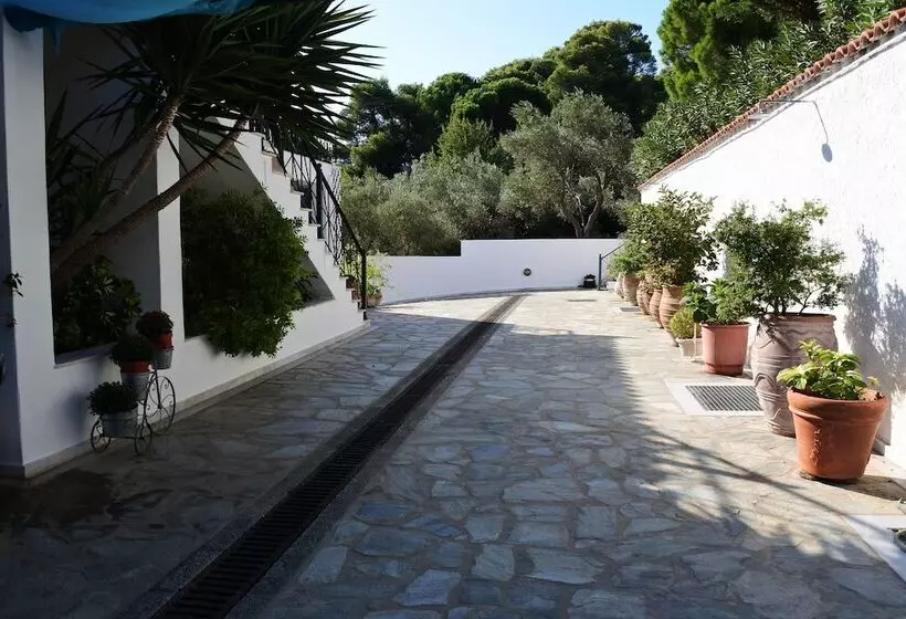 Nina S House