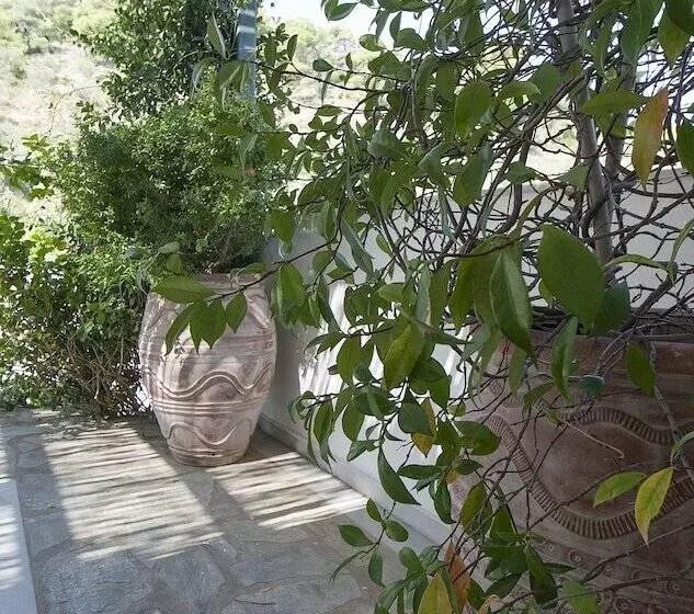 Nina S House