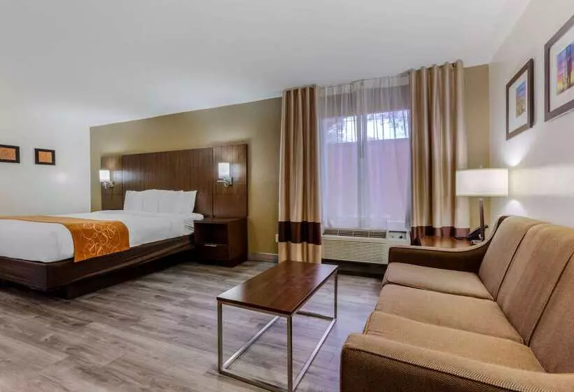 هتل Comfort Suites At Sabino Canyon