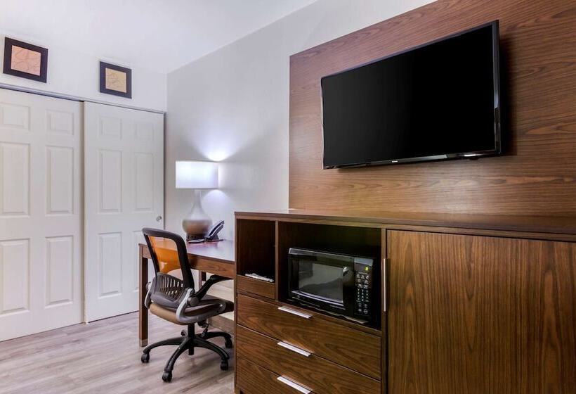 ホテル Comfort Suites At Sabino Canyon