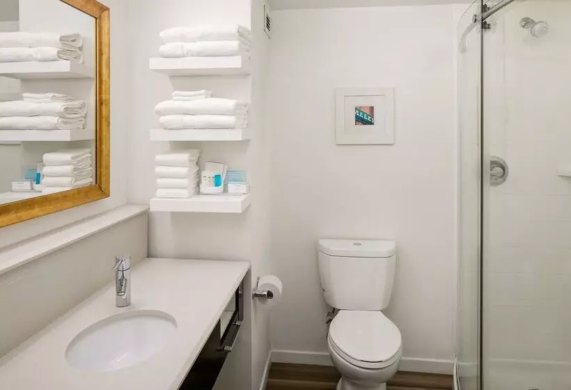 هتل Hampton Inn & Suites Nashvilleairport