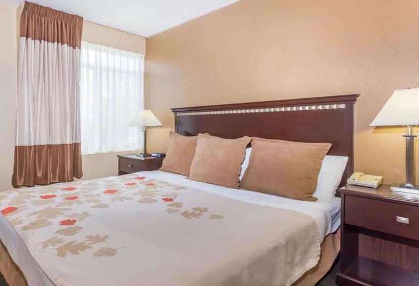 Otel Hawthorn Suites By Wyndham Chandler/phoenix Area