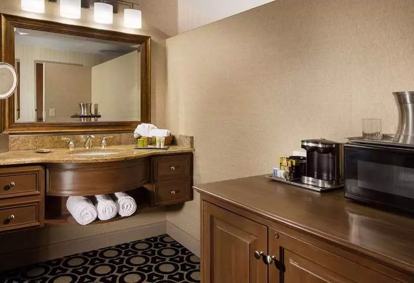 ホテル Hilton Chicago/northbrook