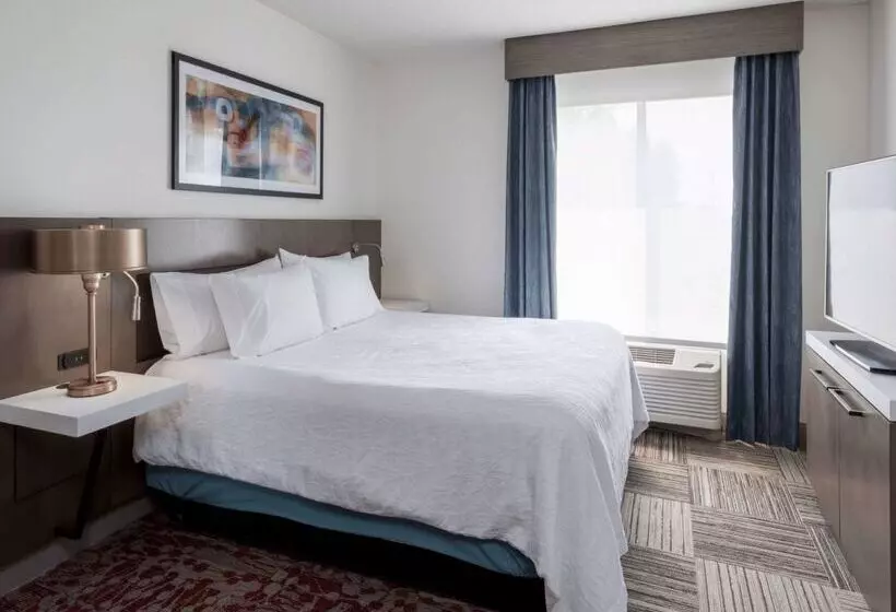 ホテル Hilton Garden Inn Minneapolis St. Paulshoreview