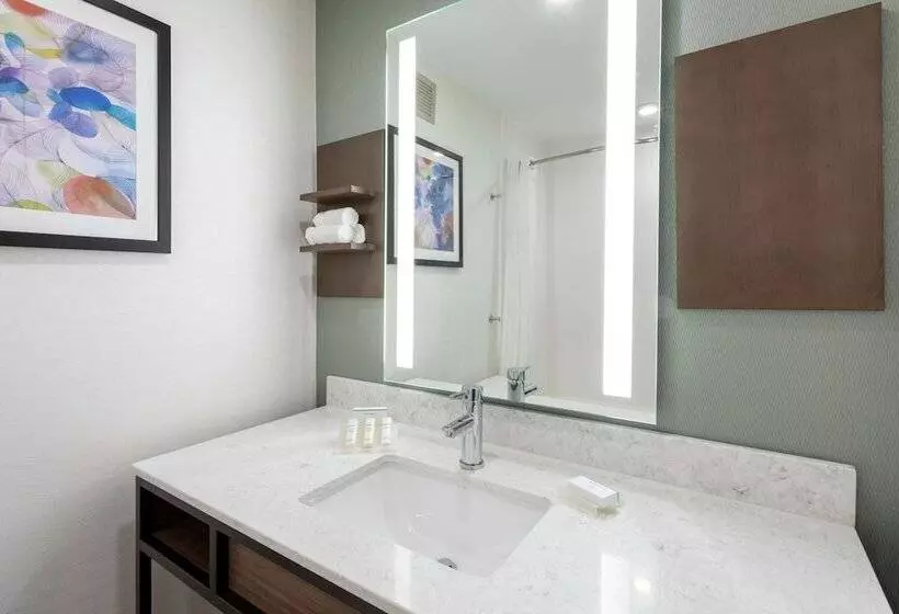 ホテル Hilton Garden Inn Minneapolis St. Paulshoreview