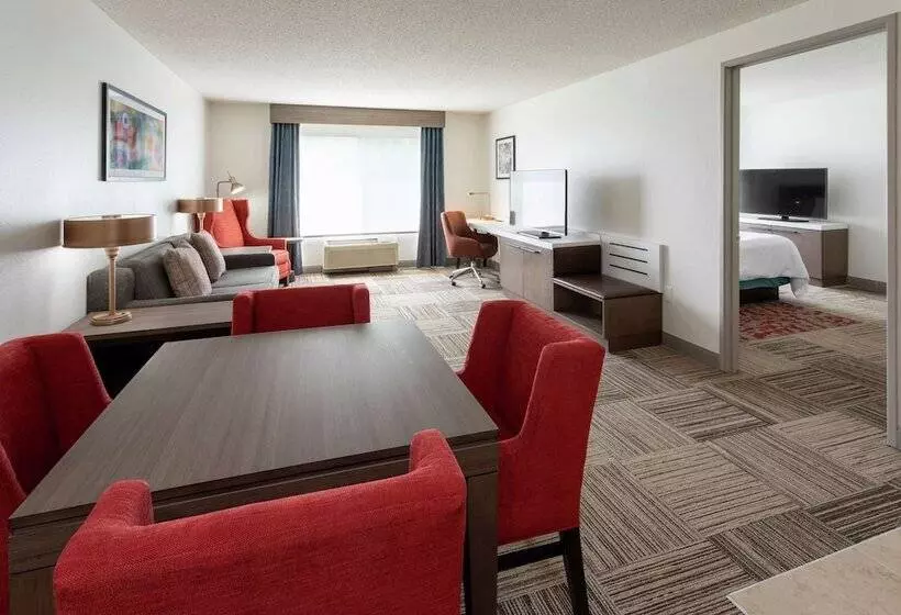 ホテル Hilton Garden Inn Minneapolis St. Paulshoreview