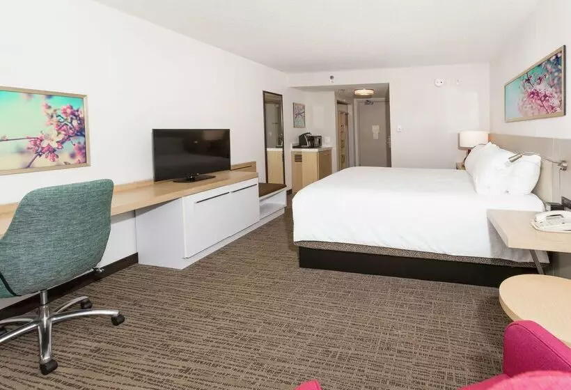 Отель Hilton Garden Inn St. Augustine Beach