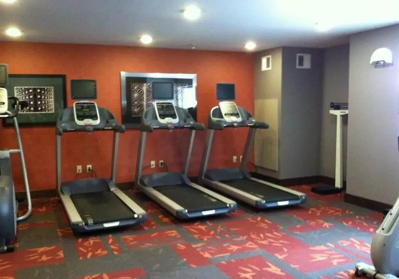 ホテル Residence Inn By Marriott Ann Arbor North