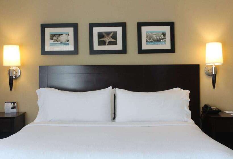 The Volare, Ascend Hotel Collection