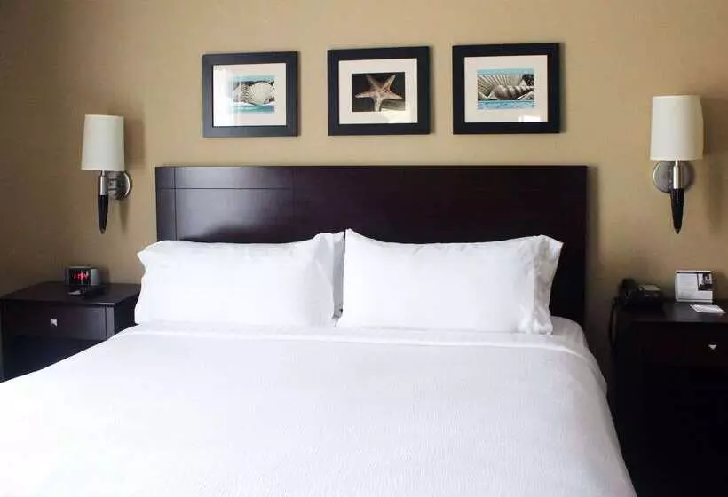 The Volare, Ascend Hotel Collection