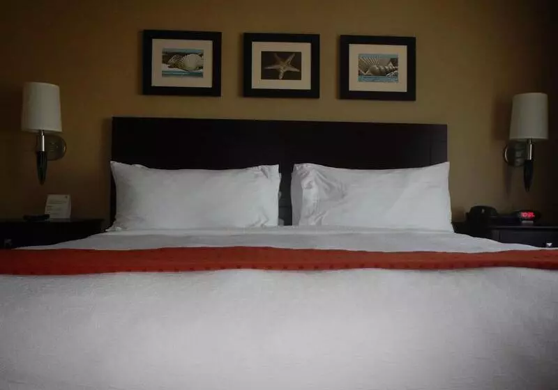 The Volare, Ascend Hotel Collection