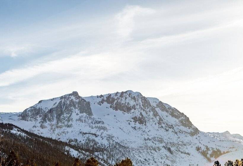 渡假胜地 Heidelberg Inn