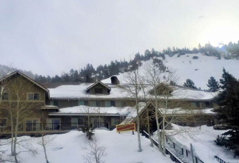 渡假胜地 Heidelberg Inn