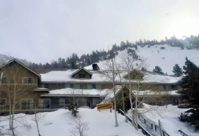 渡假胜地 Heidelberg Inn