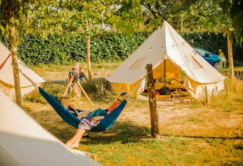 Hotelli Star Surf Camps