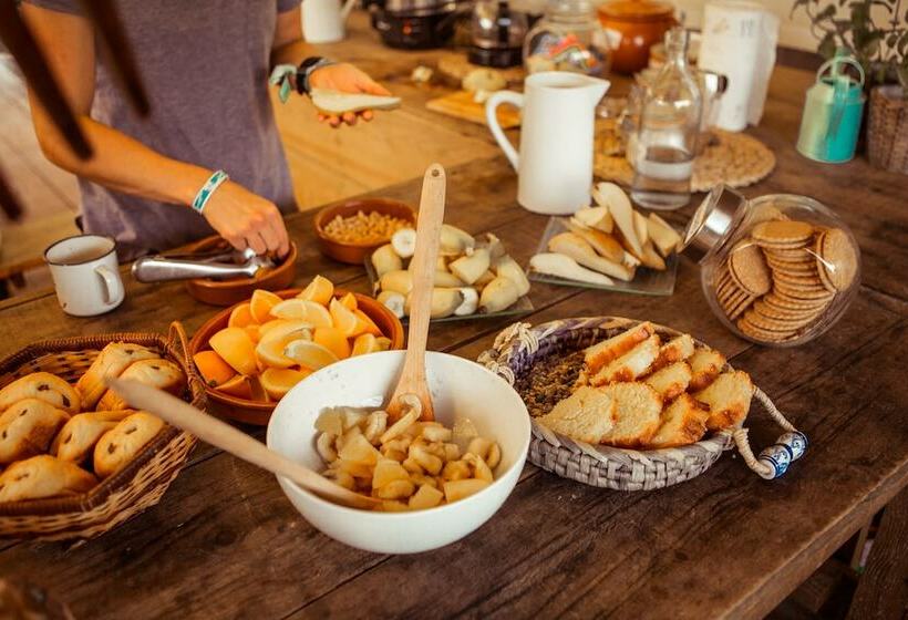 هتل Star Surf Camps