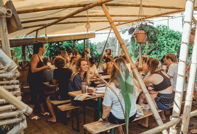 هتل Star Surf Camps