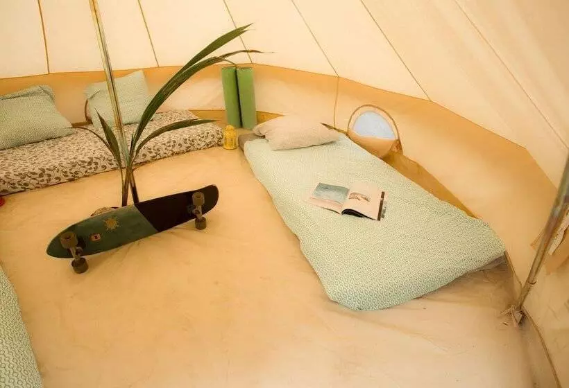 Hotelli Star Surf Camps