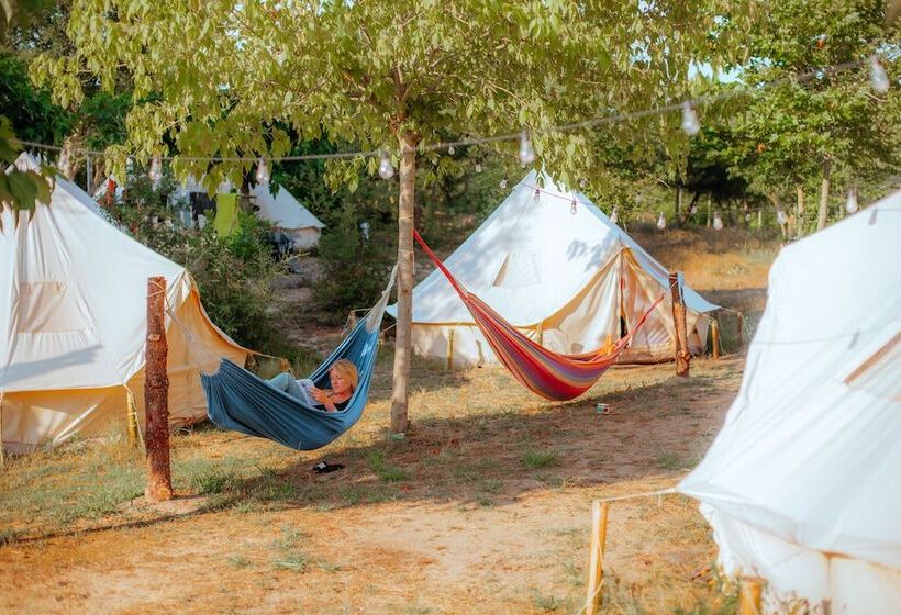 هتل Star Surf Camps