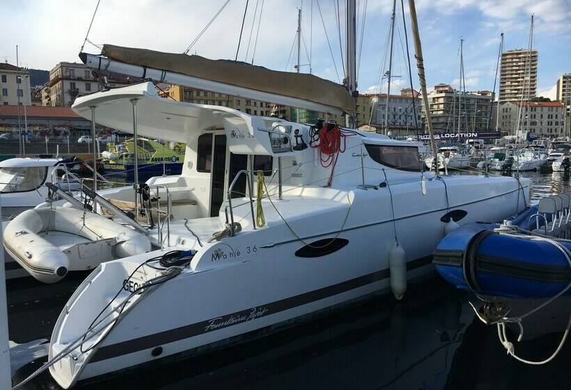 Отель Pap S Toy