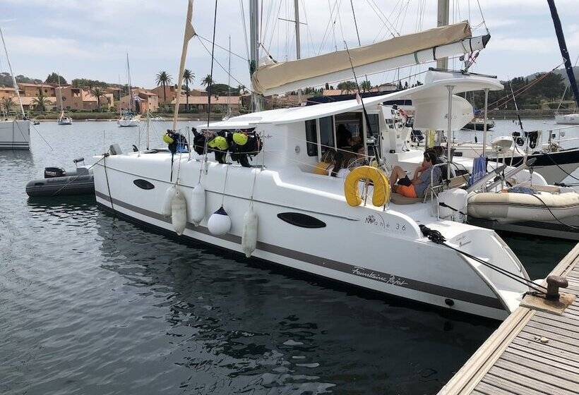 Отель Pap S Toy