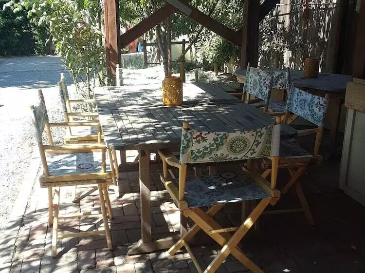 Luxury Apartments   City Center