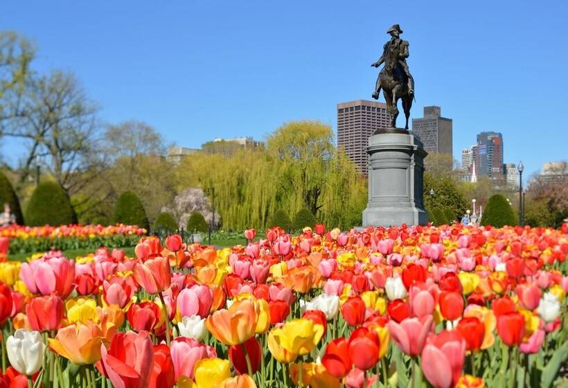 Luxury Two Bedroom Suite