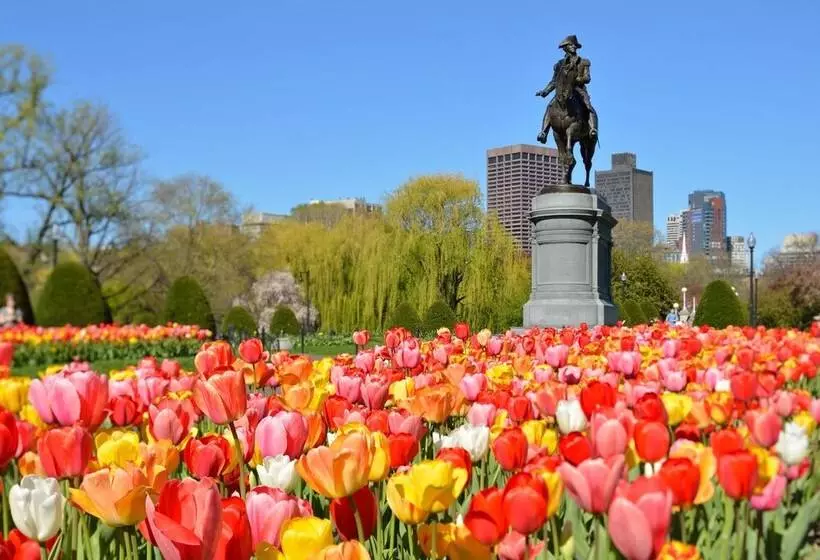 Luxury Two Bedroom Suite