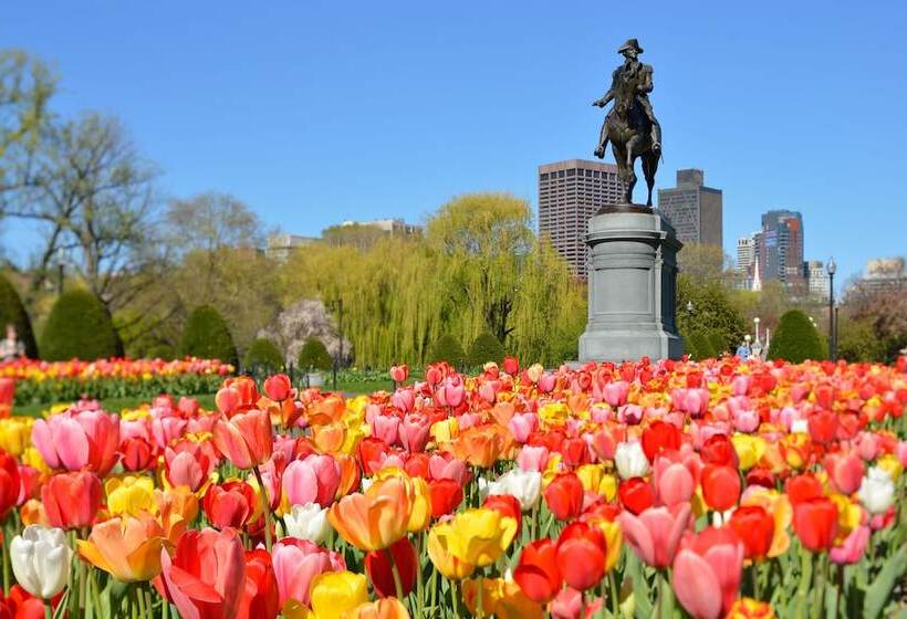 Luxury Two Bedroom Suite