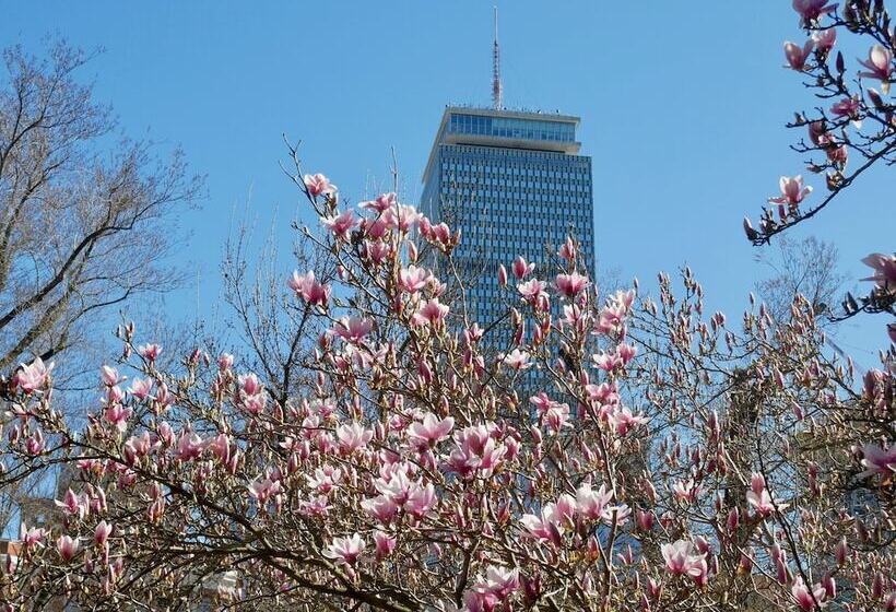 Luxury Two Bedroom Suite