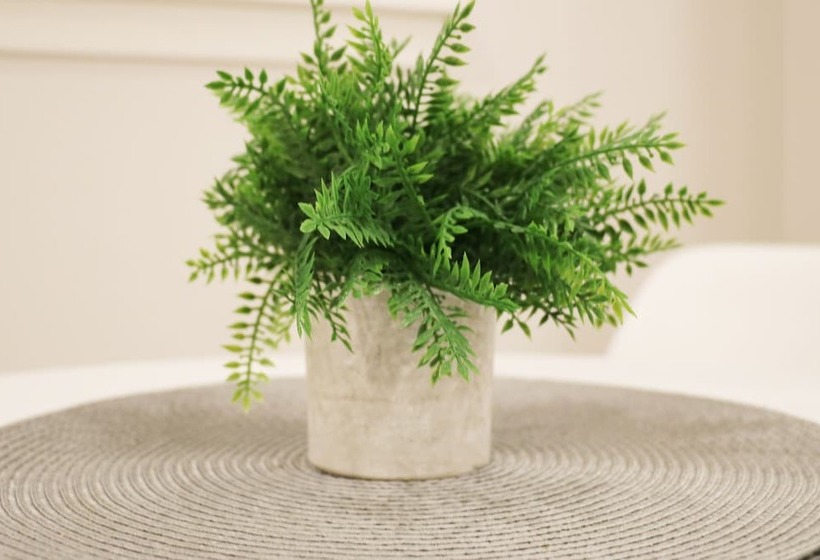 Luxury Two Bedroom Suite