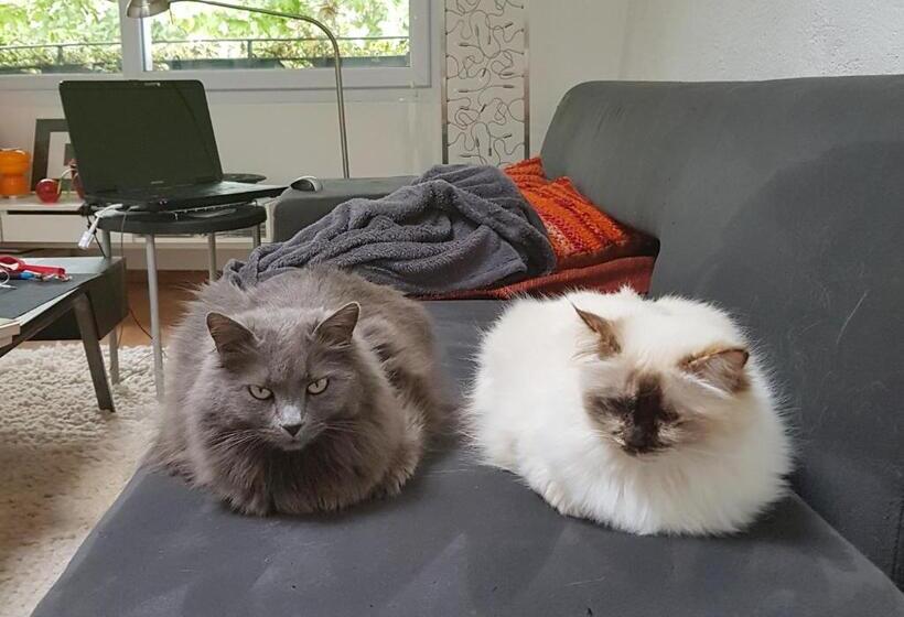 민박 Chambre D Hotes Lilimyna Avec Petit Déjeuner