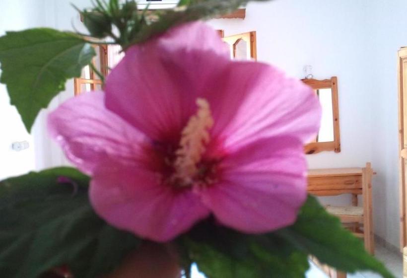 Pensión Saint Sunday Parga