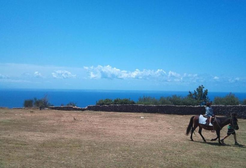 Pensión Saint Sunday Parga