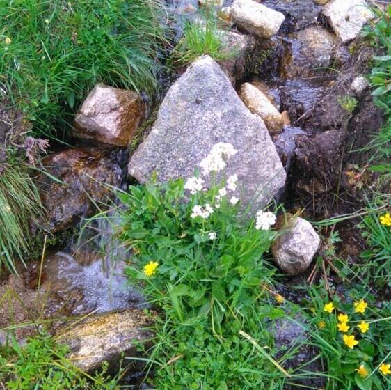 Резиденция Vvf Alsace Orbey Colmar