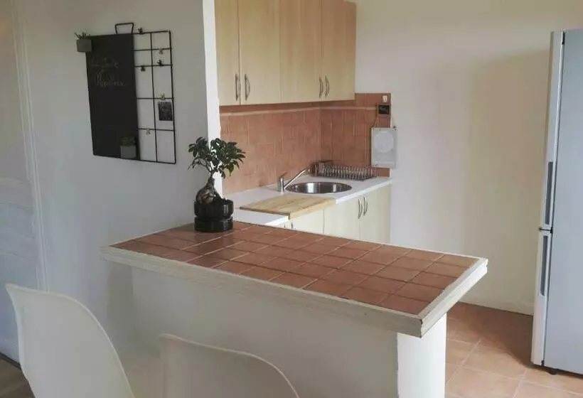 La Suite Opera