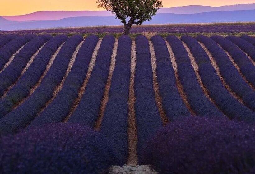 ベッドアンドブレックファースト Chambre D Hôtes Le Secadou