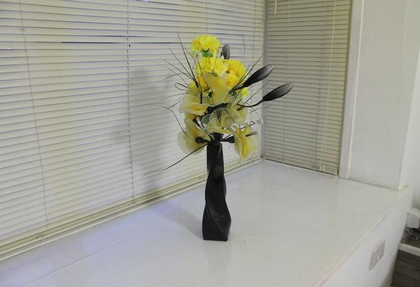 بنسيون Sidney Place