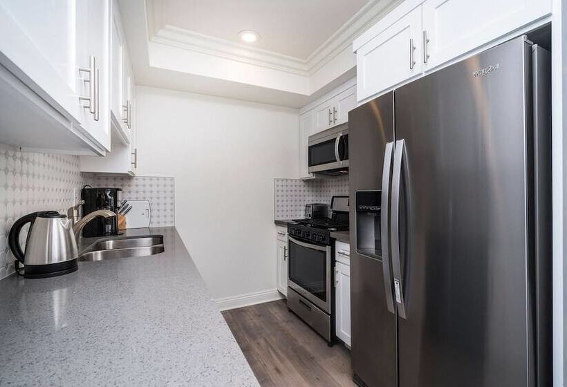 Brand New Luxury 3bdr Townhome In Silver Lake