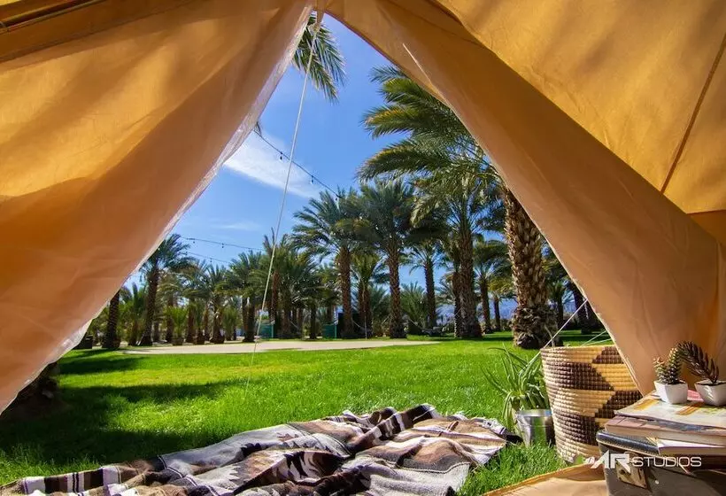 ホテル Festival Campgrounds Rancho 51