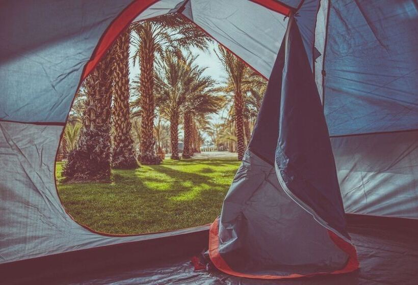 Отель Festival Campgrounds Rancho 51