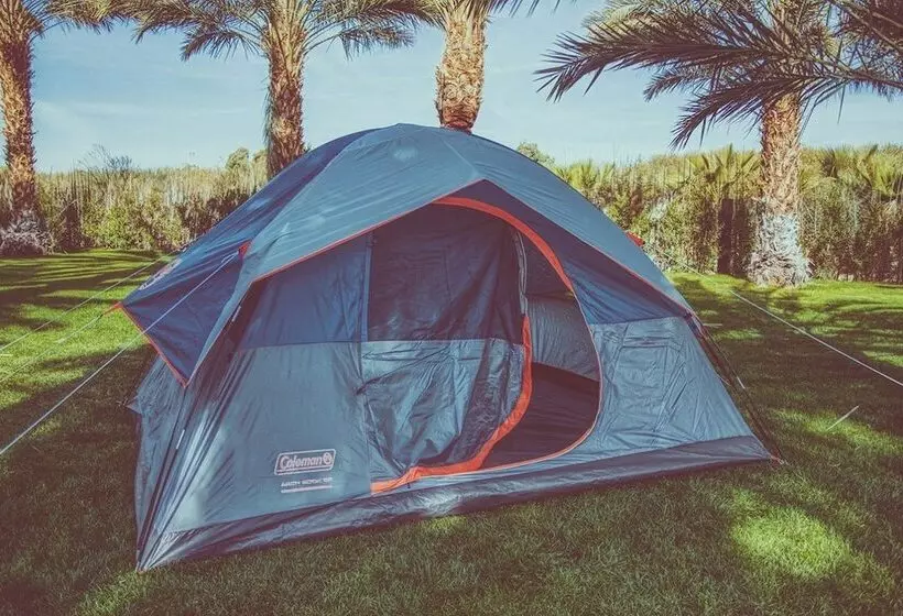 ホテル Festival Campgrounds Rancho 51