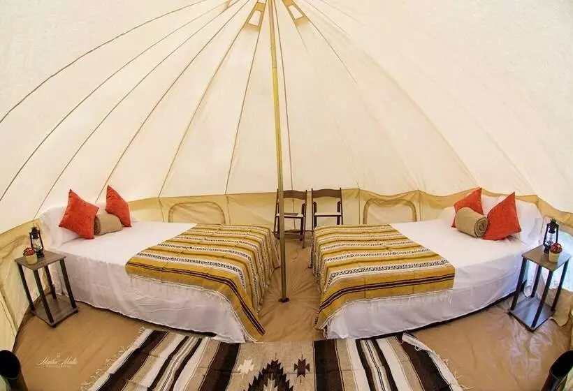 ホテル Festival Campgrounds Rancho 51