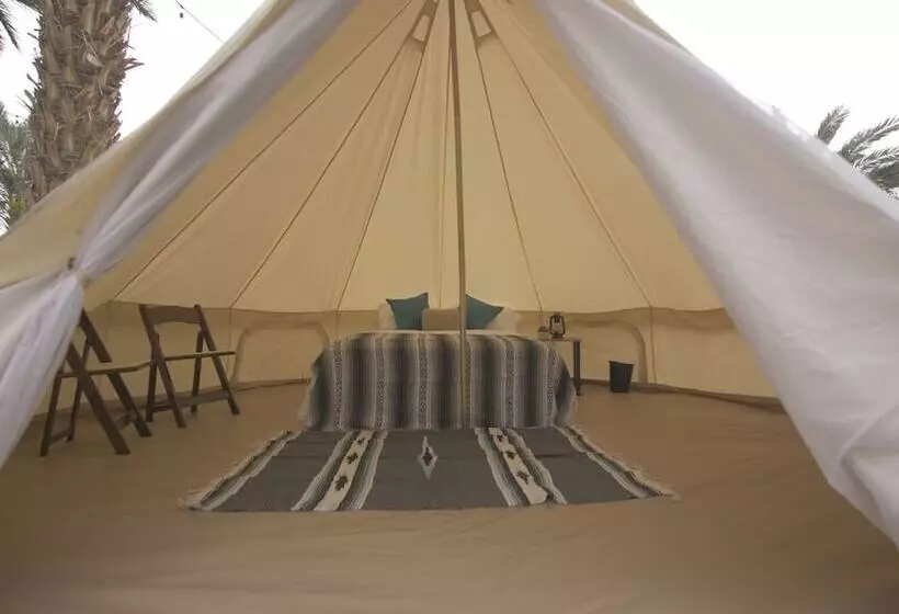 ホテル Festival Campgrounds Rancho 51