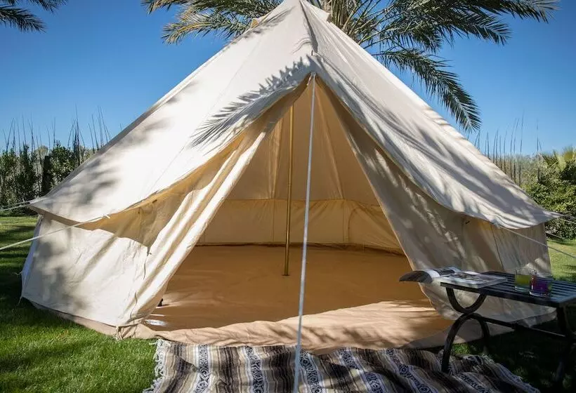 ホテル Festival Campgrounds Rancho 51