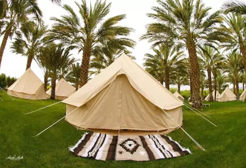 ホテル Festival Campgrounds Rancho 51