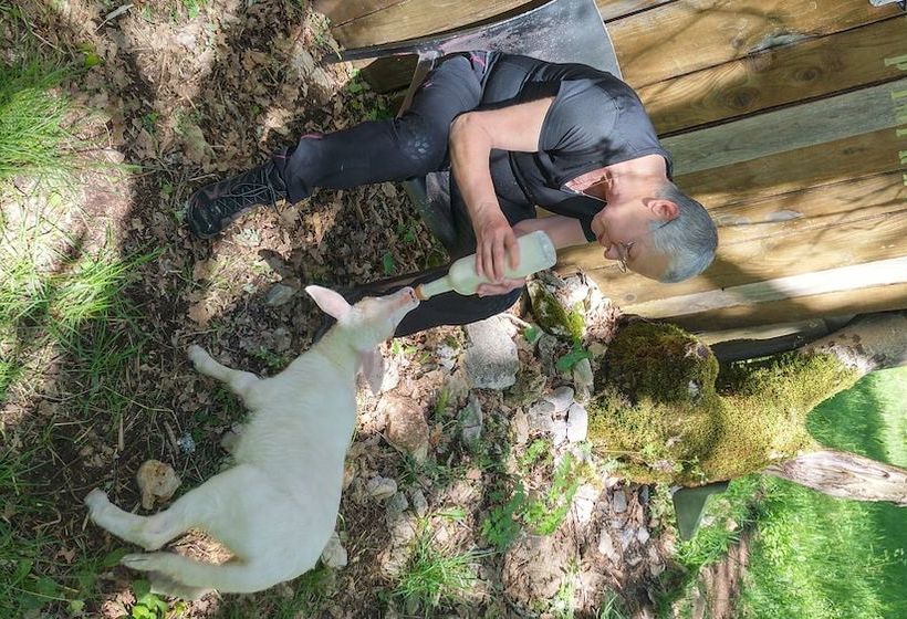 Les Roulottes Du Lot