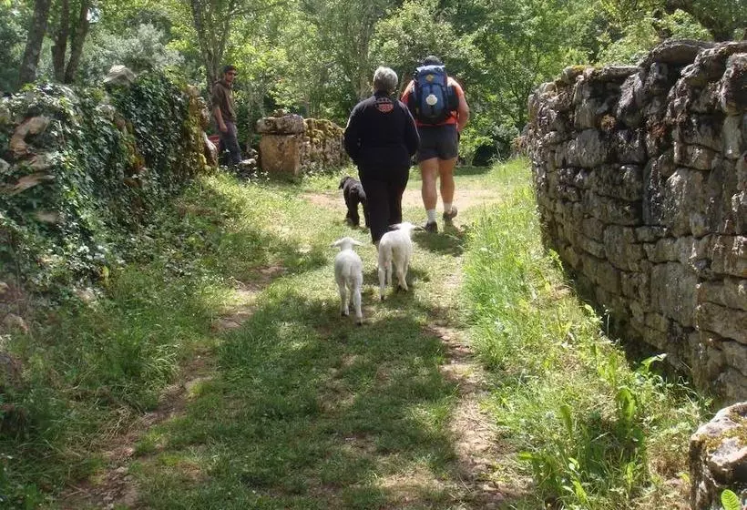 Les Roulottes Du Lot