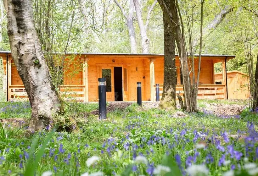 Grey Owl Cabin