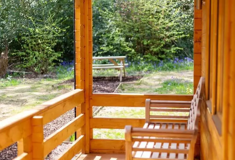 Grey Owl Cabin